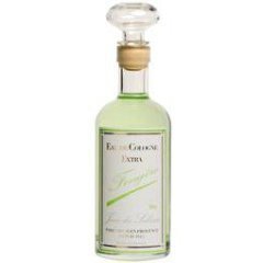 Jean des Salines - Fougère